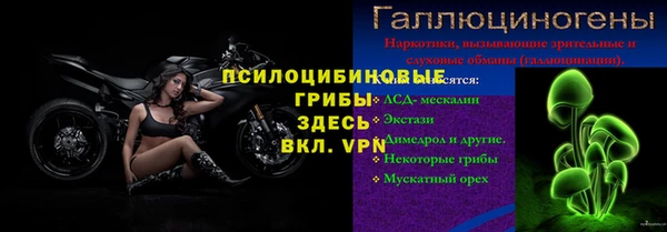 ГАЛЛЮЦИНОГЕННЫЕ ГРИБЫ Коряжма