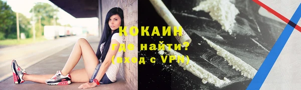 прущие грибы Краснослободск