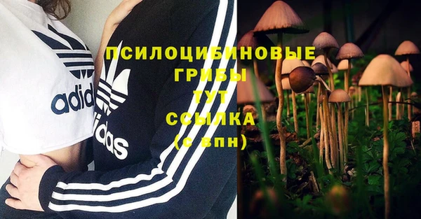 mix Корсаков