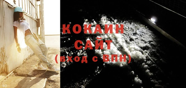 ГАЛЛЮЦИНОГЕННЫЕ ГРИБЫ Коряжма
